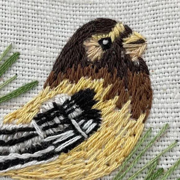 Handmade Birds Embroidery Hoop Art Wall Hanging Lace Needlepoint Sparrow Finch - Picture 9 of 13